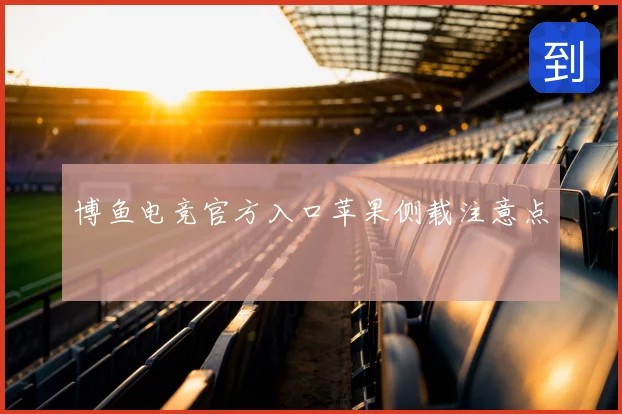 博鱼电竞官方入口苹果侧载注意点