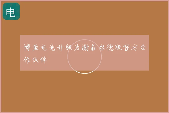 博鱼电竞升级为谢菲尔德联官方合作伙伴