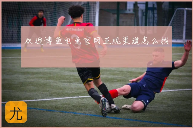 欢迎博鱼电竞官网正规渠道怎么找